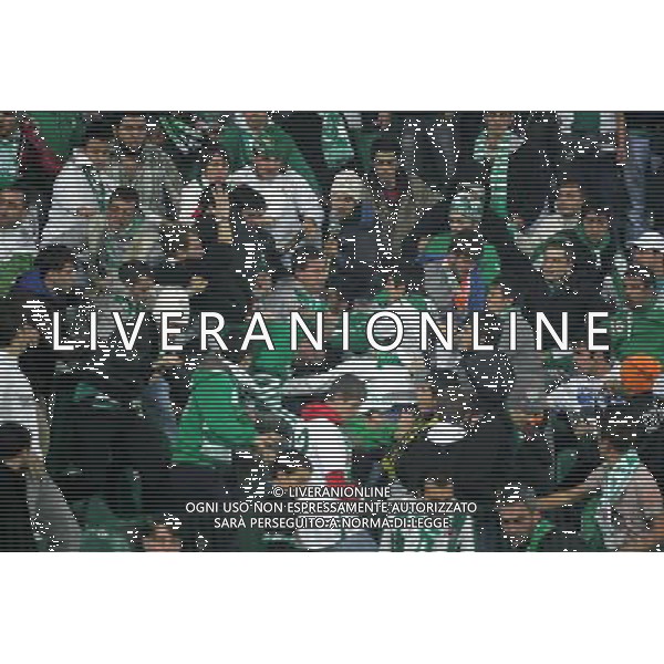 UEFA Champions League group C soccer match between Bursaspor Turkey and Rangers FC at Ataturk Stadium in Bursa, Turkey 07.12..2010 Match Scored : Bursaspor 1 - Rangers FC 1 Pictured: SCONTRI TRA I TIFOSI DEL BURSASPOR ©Newspix/Agenzia Aldo Liverani Sas - ITALY ONLY - *** Local Caption *** .