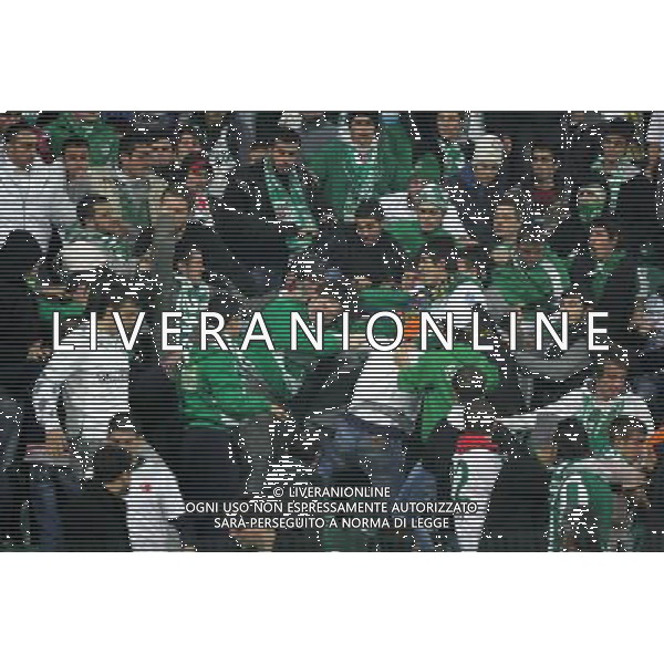 UEFA Champions League group C soccer match between Bursaspor Turkey and Rangers FC at Ataturk Stadium in Bursa, Turkey 07.12..2010 Pictured: Bursaspor fans AG. ALDO LIVERANI SAS ITALY ONLY