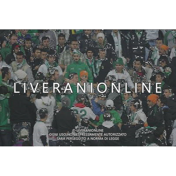 UEFA Champions League group C soccer match between Bursaspor Turkey and Rangers FC at Ataturk Stadium in Bursa, Turkey 07.12..2010 Pictured: Bursaspor fans AG. ALDO LIVERANI SAS ITALY ONLY