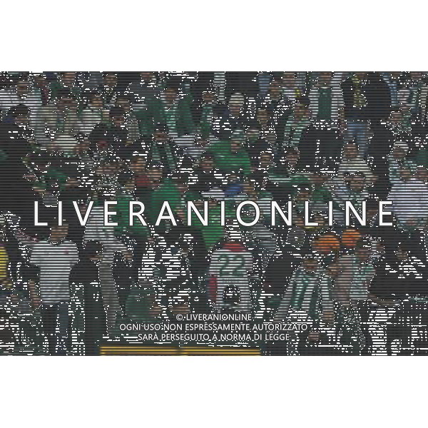 UEFA Champions League group C soccer match between Bursaspor Turkey and Rangers FC at Ataturk Stadium in Bursa, Turkey 07.12..2010 Pictured: Bursaspor fans AG. ALDO LIVERANI SAS ITALY ONLY