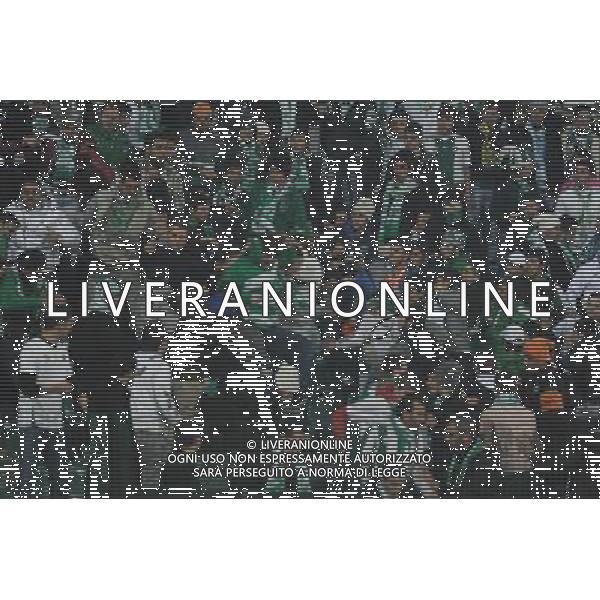 UEFA Champions League group C soccer match between Bursaspor Turkey and Rangers FC at Ataturk Stadium in Bursa, Turkey 07.12..2010 Pictured: Bursaspor fans AG. ALDO LIVERANI SAS ITALY ONLY