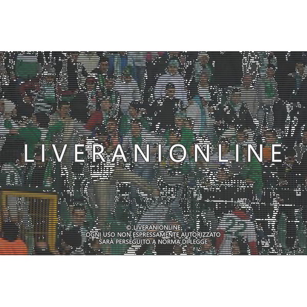 UEFA Champions League group C soccer match between Bursaspor Turkey and Rangers FC at Ataturk Stadium in Bursa, Turkey 07.12..2010 Pictured: Bursaspor fans AG. ALDO LIVERANI SAS ITALY ONLY