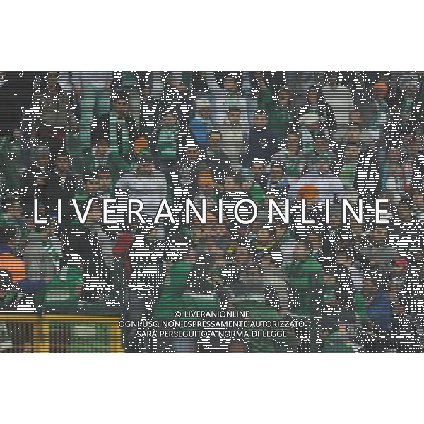 UEFA Champions League group C soccer match between Bursaspor Turkey and Rangers FC at Ataturk Stadium in Bursa, Turkey 07.12..2010 Pictured: Bursaspor fans AG. ALDO LIVERANI SAS ITALY ONLY