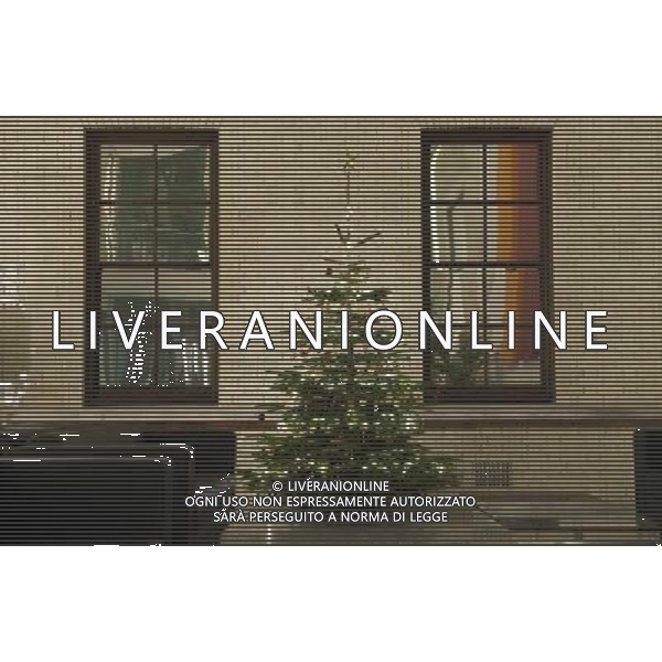  The Treasury christmas tree. AG. ALDO LIVERANI SAS ITALY ONLY