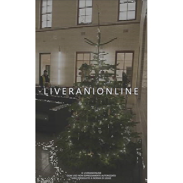  The Treasury christmas tree. AG. ALDO LIVERANI SAS ITALY ONLY
