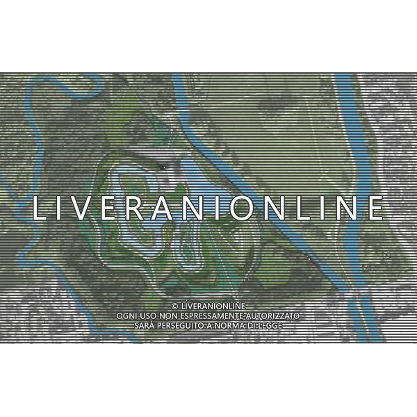Map showing the Canoe and White Water Slalom venue at Broxbourne. © Photoshot - Ag. Aldo Liverani sas ITALY ONLY COSTRUZIONE DEL CENTRO CANOA PER I GIOCHI OLIMPICI 2012 A LONDRA