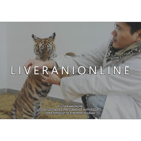 (101214) -- SUZHOU, Dec. 14, 2010 () -- A 100-day-old tiger cub plays with its feeder at the South China Tiger Breeding Base in Suzhou, east China\'s Jiangsu Province, Dec. 14, 2010. The tiger cub is the second tiger cub that born and survived in the base in the past four years. (/Wang Jianzhong) (zn) AG. ALDO LIVERANI SAS ITALY ONLY