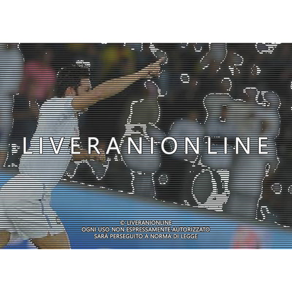 FIFA Club World Cup UAE 2010 Match #5 Abu Dhabi (Emirati Arabi) Zayed Sports City - 15.12.2010 Seongnam Ilhwa FC- FC Inter Nella Foto:zanetti esulta /Ph.Vitez-Ag. Aldo Liverani