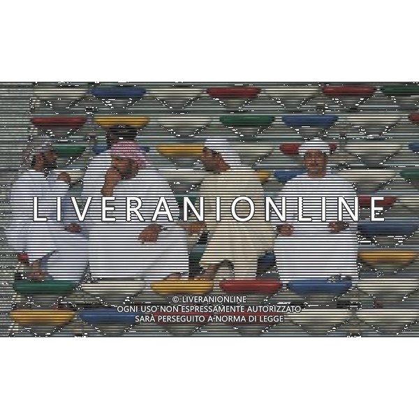 FIFA Club World Cup UAE 2010 Match #6 Finale 5¡-6¡ Posto Abu Dhabi (Emirati Arabi) Zayed Sports City - 15.12.2010 Club de Futbol Pachuca-Al-Wahda Sports Club Nella Foto:Tifosi Arabi /Ph.Vitez-Ag. Aldo Liverani