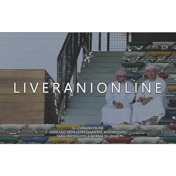 FIFA Club World Cup UAE 2010 Match #6 Finale 5¡-6¡ Posto Abu Dhabi (Emirati Arabi) Zayed Sports City - 15.12.2010 Club de Futbol Pachuca-Al-Wahda Sports Club Nella Foto:Tifosi Arabi /Ph.Vitez-Ag. Aldo Liverani
