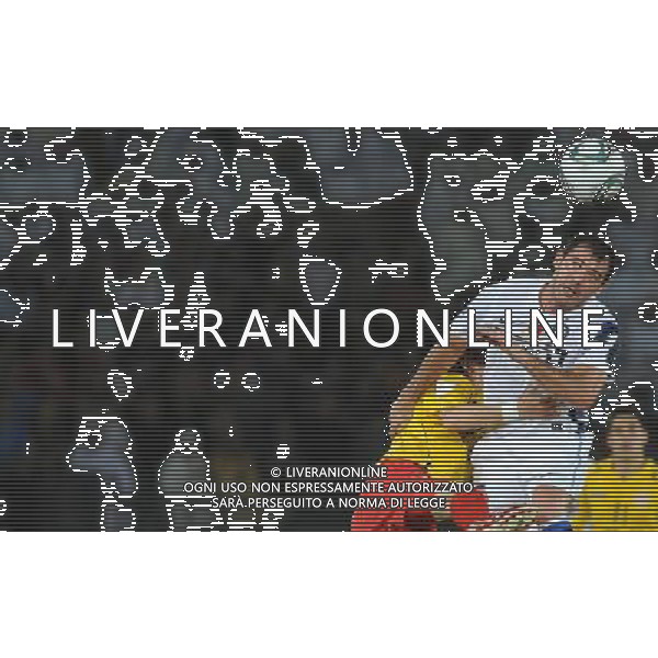 FIFA Club World Cup UAE 2010 Match #5 Abu Dhabi (Emirati Arabi) Zayed Sports City - 15.12.2010 Seongnam Ilhwa FC- FC Inter Nella Foto:Dejan STANKOVIC /Ph.Vitez-Ag. Aldo Liverani
