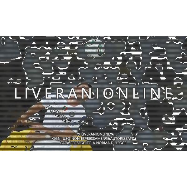 FIFA Club World Cup UAE 2010 Match #5 Abu Dhabi (Emirati Arabi) Zayed Sports City - 15.12.2010 Seongnam Ilhwa FC- FC Inter Nella Foto:Dejan STANKOVIC /Ph.Vitez-Ag. Aldo Liverani