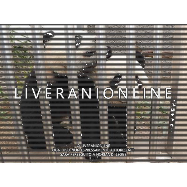 (101215) -- CHENGDU, Dec. 15, 2010 () -- Giant pandas \'Kai Kai\' and \'Xin Xin\' (R) play with each other in a giant panda breeding and research base in Chengdu, capital of southwest China\'s Sichuan Province, Dec. 15, 2010. A pair of giant pandas \'Kai Kai\' and \'Xin Xin\', which means happiness when two names are combined, will be sent to the Macao Special Administrative Region (SAR) on Dec. 18 to celebrate the 10th anniversary of the Macao SAR. Now the two pandas have been accustomed to the food air-expressed here from Macao. (/Chen Kai) (zgp) AG. ALDO LIVERANI SAS ITALY ONLY