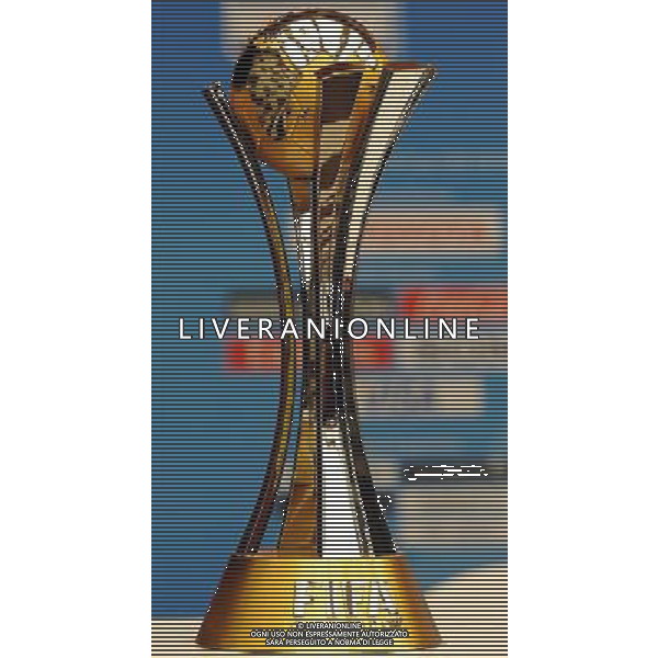 ABU DHABI 17/12/2010 NELLA FOTO LA COPPA INTERCONTINENTALE FOTO MASSIMILIANO VITEZ-AG ALDO LIVERANI