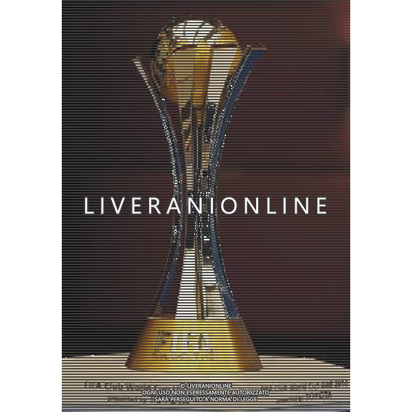 ABU DHABI 17/12/2010 NELLA FOTO LA COPPA INTERCONTINENTALE FOTO MASSIMILIANO VITEZ-AG ALDO LIVERANI