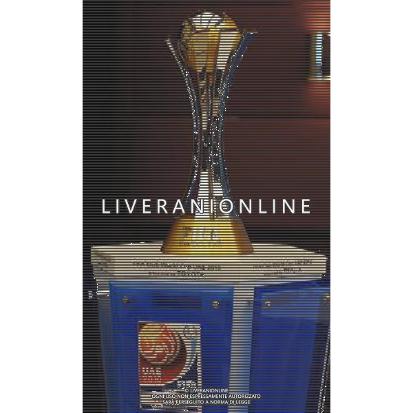 ABU DHABI 17/12/2010 NELLA FOTO LA COPPA INTERCONTINENTALE FOTO MASSIMILIANO VITEZ-AG ALDO LIVERANI