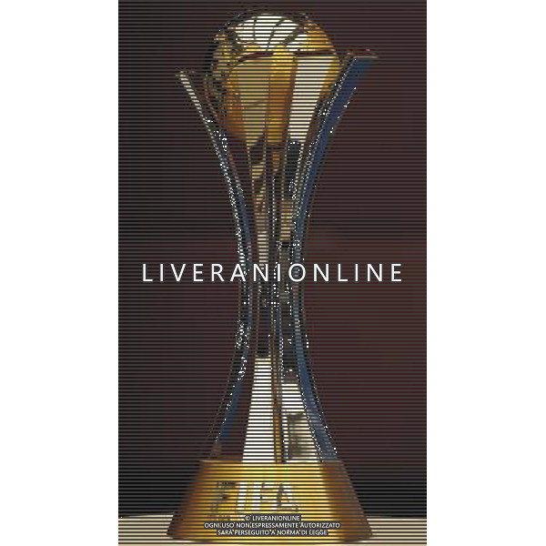 ABU DHABI 17/12/2010 NELLA FOTO LA COPPA INTERCONTINENTALE FOTO MASSIMILIANO VITEZ-AG ALDO LIVERANI