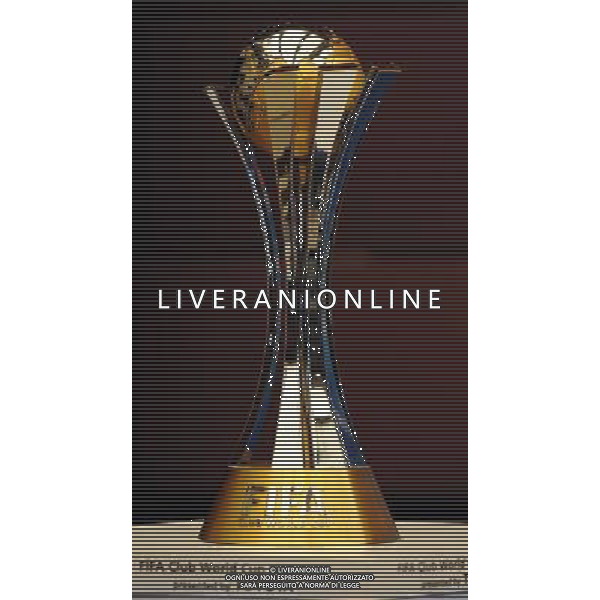 ABU DHABI 17/12/2010 NELLA FOTO LA COPPA INTERCONTINENTALE FOTO MASSIMILIANO VITEZ-AG ALDO LIVERANI