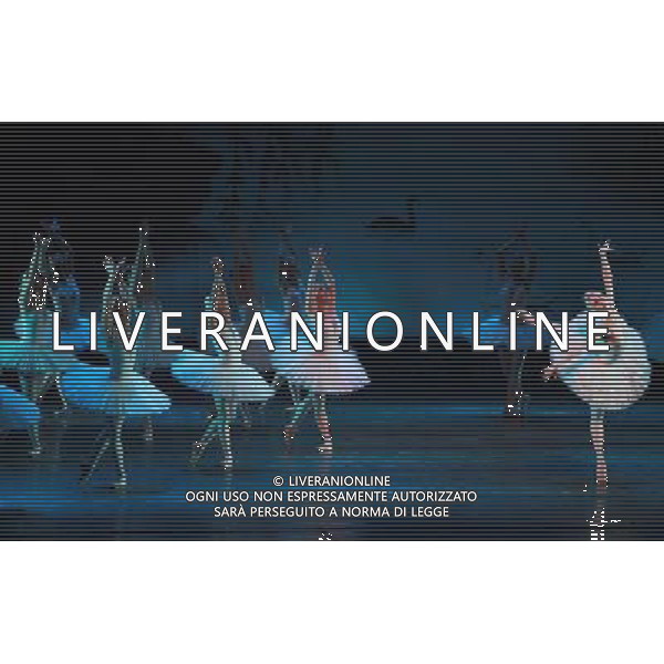 (101220) -- SHENYANG, Dec. 20, 2010 () -- Dancers from the Russian Royal Ballet Ensemble perform the classic ballet drama \'the Swan Lake\' at the Liaoning Grand Theater in Shenyang, capital of northeast China\'s Liaoning Province, Dec. 19, 2010. (/Pan Enzhan) (ljh) AG. ALDO LIVERANI SAS ITALY ONLY