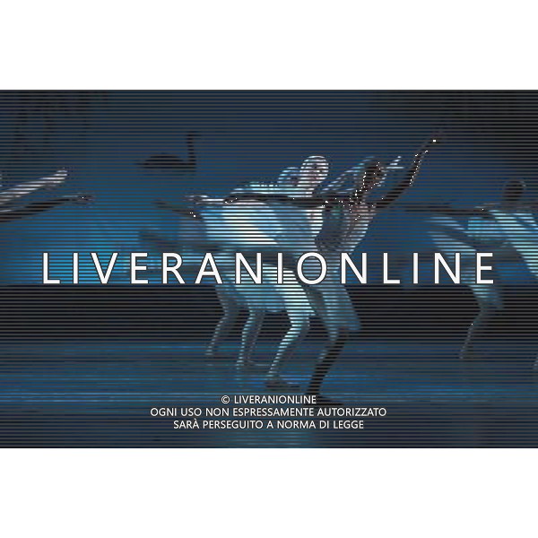 (101220) -- SHENYANG, Dec. 20, 2010 () -- Dancers from the Russian Royal Ballet Ensemble perform the classic ballet drama \'the Swan Lake\' at the Liaoning Grand Theater in Shenyang, capital of northeast China\'s Liaoning Province, Dec. 19, 2010. (/Pan Enzhan) (ljh) AG. ALDO LIVERANI SAS ITALY ONLY