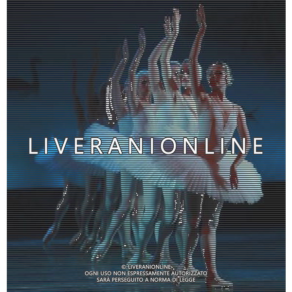 (101220) -- SHENYANG, Dec. 20, 2010 () -- Dancers from the Russian Royal Ballet Ensemble perform the classic ballet drama \'the Swan Lake\' at the Liaoning Grand Theater in Shenyang, capital of northeast China\'s Liaoning Province, Dec. 19, 2010. (/Pan Enzhan) (ljh) AG. ALDO LIVERANI SAS ITALY ONLY