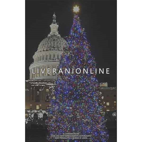 (101222) -- WASHINGTON, Dec. 22, 2010 () -- A Christmas tree is seen lighten up in front of the Capitol Hill in Washington D.C., capital of the United States, Dec. 21, 2010. (/Zhang Jun) (lmz) AG. ALDO LIVERANI SAS ITALY ONLY