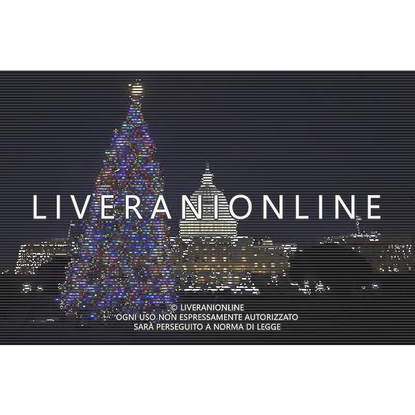 (101222) -- WASHINGTON, Dec. 22, 2010 () -- A Christmas tree is seen lighten up in front of the Capitol Hill in Washington D.C., capital of the United States, Dec. 21, 2010. (/Zhang Jun) (lmz) AG. ALDO LIVERANI SAS ITALY ONLY