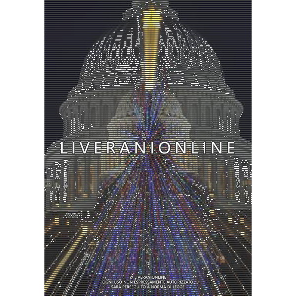 (101222) -- WASHINGTON, Dec. 22, 2010 () -- A Christmas tree is seen in front of the Capitol Hill in Washington D.C., capital of the United States, Dec. 21, 2010. The U.S. Senate decided on Tuesday to bring full vote on a nuclear arms treaty with Russia, long sought by President Barack Obama and the Democrats. (/Zhang Jun) (lmz) AG. ALDO LIVERANI SAS ITALY ONLY