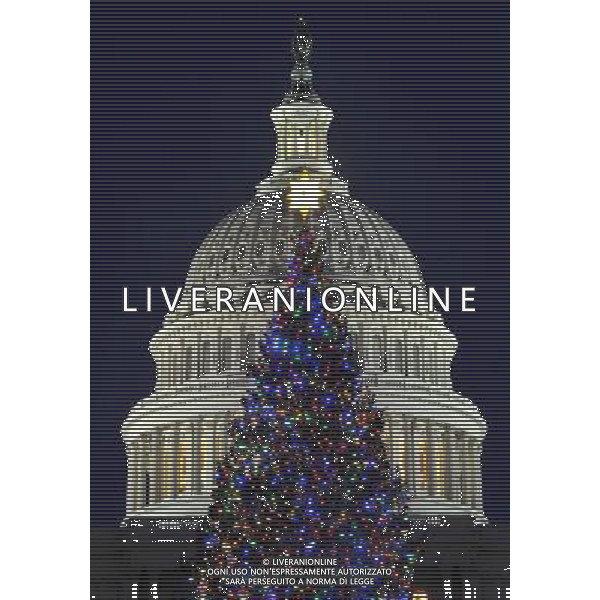 (101222) -- WASHINGTON, Dec. 22, 2010 () -- A Christmas tree is seen in front of the Capitol Hill in Washington D.C., capital of the United States, Dec. 21, 2010. The U.S. Senate decided on Tuesday to bring full vote on a nuclear arms treaty with Russia, long sought by President Barack Obama and the Democrats. (/Zhang Jun) (lmz) AG. ALDO LIVERANI SAS ITALY ONLY