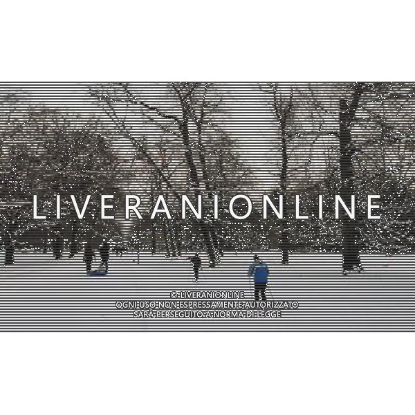 (101226) -- COPENHAGEN, Dec. 26, 2010 () -- Skiers make their way through snow covered Royal Deer Park in Copenhagen, capital of Denmark, Dec. 25, 2010. Heavy snow for nearly a month offered Denmark a white Christmas. (/Wu Bo) (msq) ITALY ONLY AG. ALDO LIVERANI SAS LA CITTA DI COPENAGHEN SOTTO LA NEVE *** Local Caption ***