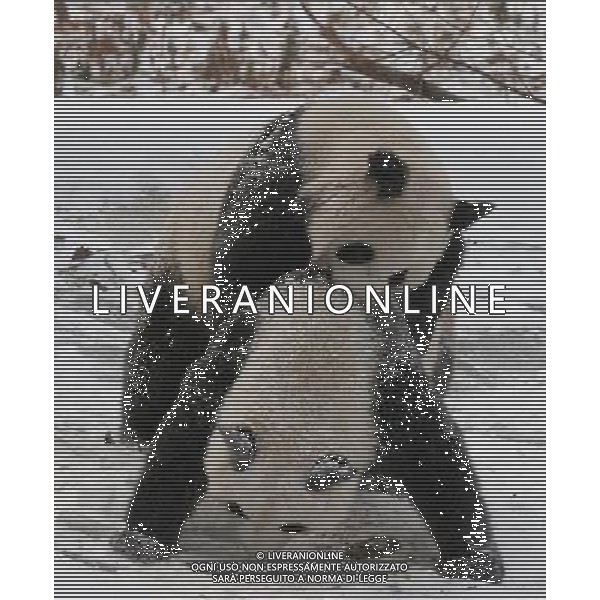 (110105) -- HANZHONG, Jan. 5, 2011 () -- Pandas play in snow at Qinling Giant Panda Research Center in Foping Natural Reserve of Foping County, northwest China\'s Shaanxi Province, Jan. 3, 2011. (/Zhao Jianqiang) (lb) ©photoshot/Agenzia Aldo Liverani Sas - ITALY ONLY - L\'orso panda gigante gioca nella neve a Qinling Giant Panda Research Center di Foping Riserva Naturale di Foping County, a nord-ovest della Cina nella provincia dello Shaanxi, 3 Gennaio 2011. 