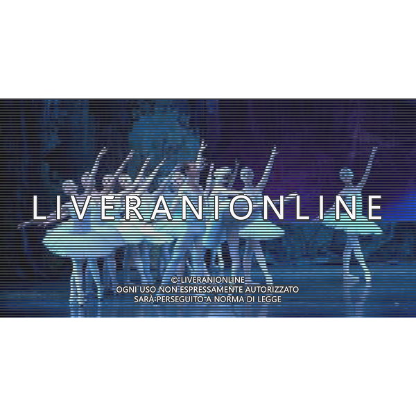 (110107) -- TAIZHOU, Jan. 7, 2011 () -- Artists from Royal Russian Ballet present the Swan Lake in Wenling, east China\'s Zhejiang Province, Jan. 6, 2011. (/Wu Pengfei) (xzj) ©photoshot/Agenzia Aldo Liverani Sas - ITALY ONLY - Artisti Ballerini del Balletto Russo Reale presentare il lago dei cigni a Wenling, a est della Cina provincia di Zhejiang, 6 gennaio 2011