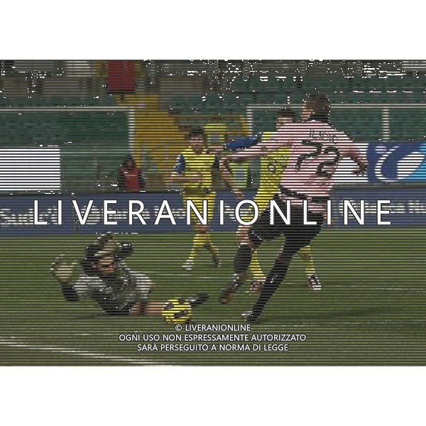 12-01-11 palermo : palermo - chievo coppa italia tim 2010-2011 Nella foto: ilicic anticipato da squizzi GIUSEPPE SERGI - ALDO LIVERANI 