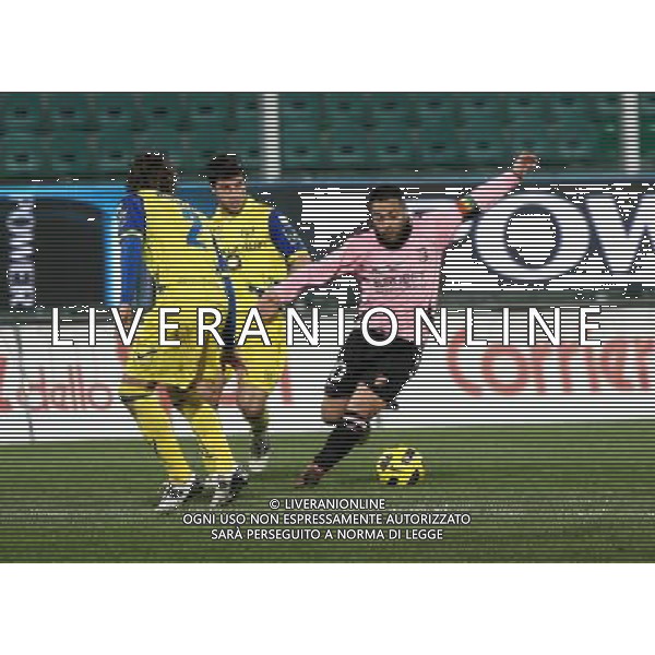 12-01-11 palermo : palermo - chievo coppa italia tim 2010-2011 Nella foto: miccoli fabrizio GIUSEPPE SERGI - ALDO LIVERANI 