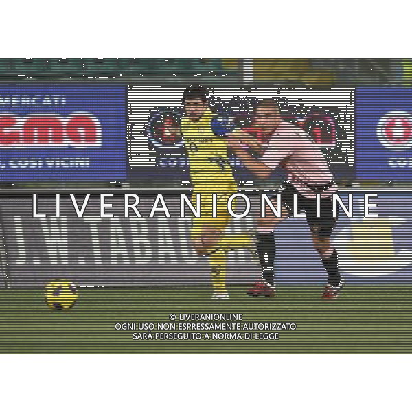 12-01-11 palermo : palermo - chievo coppa italia tim 2010-2011 Nella foto: jokic e kasami GIUSEPPE SERGI - ALDO LIVERANI 