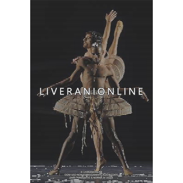 PECHINO, 12 gennaio 2011 () - Ballerini della Compagnia NazIonale di Danza Spagnola durante le prove di coreografia Nacho Duato presso il National Center for Performing Arts di Pechino, capitale della Cina AG. ALDO LIVERANI SAS ITALY NLY