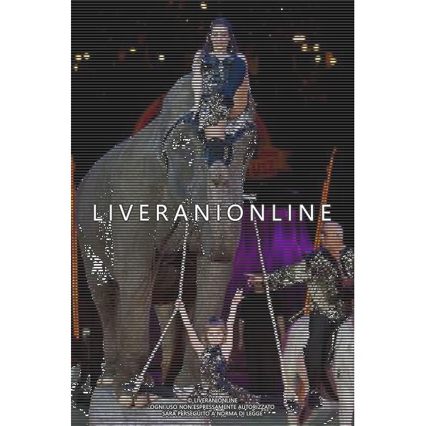 (110114) -- BUDAPEST, Jan. 14, 2011 () -- Artists from the Donnert family perform with an elephant in Budapest, Hungary on January 13, 2011, during the gala program titled Nostalgia commemorating the 40th anniversary of the Circus of Budapest moving into its current building .(/Yang Yongqian)(jyc) ©photoshot/Agenzia Aldo Liverani Sas - ITALY ONLY - BUDAPEST, Ungheria 14 gennaio 2011 - Gala\' dal titolo Nostalgia per commemorare il 40mo anniversario del Circo di Budapest in movimento nella sua struttura attuale