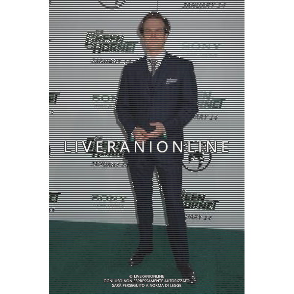 10 January 2011 - Hollywood, California - David Harbour. \'The Green Hornet\' Los Angeles Premiere held at Grauman\'s Chinese Theatre. Photo Credit: Byron Purvis/AdMedia AFG. ALDOL LIVERANI SAS ITALY ONLY