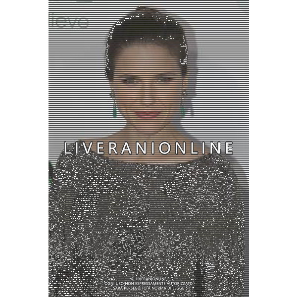 10 January 2011 - Hollywood, California - Sophia Bush. The Green Hornet Premiere Mann Grauman\'s Chinese theatre. Photo Credit: Charles Harris/AdMedia AFG. ALDOL LIVERANI SAS ITALY ONLY