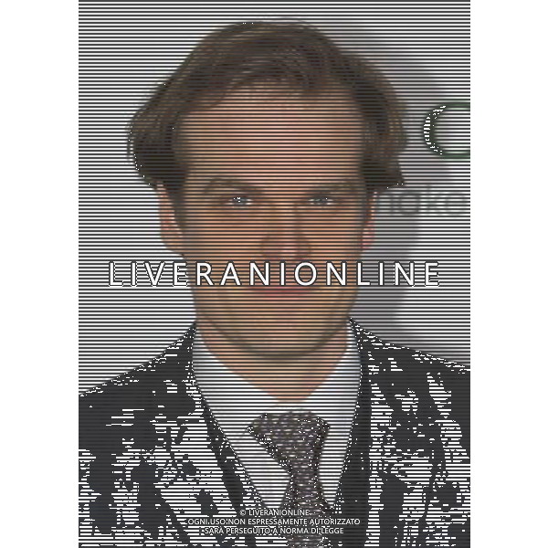 10 January 2011 - Hollywood, California - David Harbour. The Green Hornet Premiere Mann Grauman\'s Chinese theatre. Photo Credit: Charles Harris/AdMedia AFG. ALDOL LIVERANI SAS ITALY ONLY