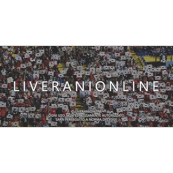 (110125) -- DOHA, Jan. 25, 2011 () -- Fans of South Korea raise their national flags before the semifinal between Japan and South Korea at the Asian Cup in Doha, capital of Qatar, Jan. 25, 2011. (/Tao Xiyi)(lm) Doha , Coppa d\'Asia 2011 semifinali Giappone vs Corea del Sud AG. ALDO LIVERANI SAS ITALY ONLY