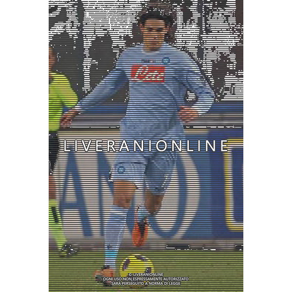 NAPOLI CALCIO NELLA FOTO: CAVANI EDINSON FOTO MOSCA- AG.LIVERANI