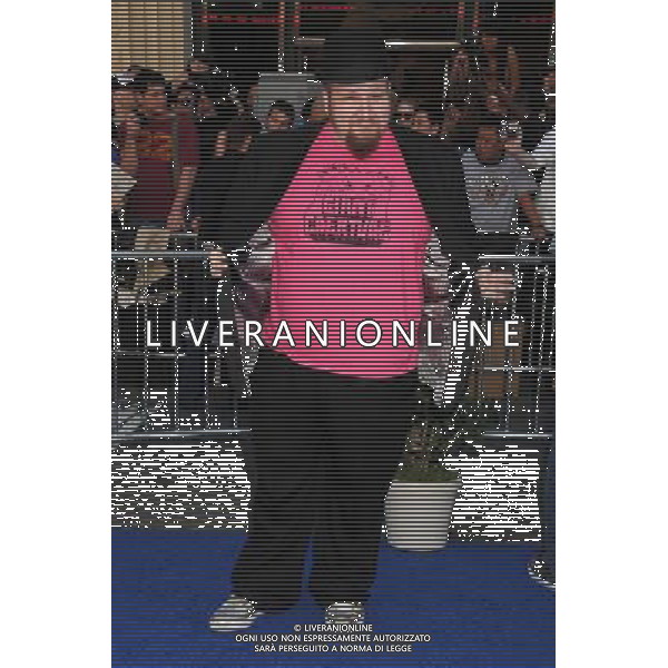 23 January 2011 - Hollywood, California - Stephen Glickman. \'Gnomeo and Juliet\' World Premiere held at the El Capitan Theatre. Photo Credit: Byron Purvis/AdMedia AG. ALDO LIVERANI SAS ITALY ONLY