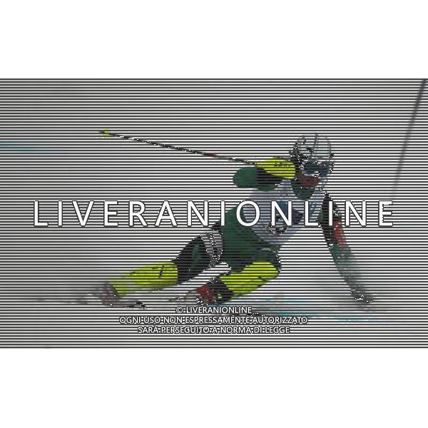 (110207) -- ERZURUM, Feb. 7, 2011 () -- Tomaz Velecic of Slovakia competes in the men\'s slalom of Alpine Skiing event at the 25th Winter Universiade in Erzurum, Turkey, Feb. 6, 2011. Velecic clocked 1 minute and 47.92 seconds to rank No. 8. (/Fei Maohua) AG. ALDO LIVERANI SAS ITALY ONLY