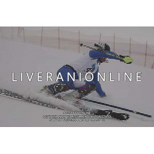(110207) -- ERZURUM, Feb. 7, 2011 () -- Daniel Dejori of Italy competes in the men\'s slalom of Alpine Skiing event at the 25th Winter Universiade in Erzurum, Turkey, Feb. 6, 2011. (/Fei Maohua) AG. ALDO LIVERANI SAS ITALY ONLY