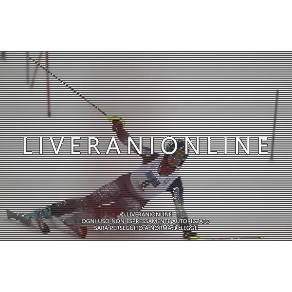 (110207) -- ERZURUM, Feb. 7, 2011 () -- Seppi Stiegler of the United States competes in the men\'s slalom of Alpine Skiing event at the 25th Winter Universiade in Erzurum, Turkey, Feb. 6, 2011. Stiegler clocked 1 minute and 45.71 seconds to claim the title of the event. (/Fei Maohua) AG. ALDO LIVERANI SAS ITALY ONLY
