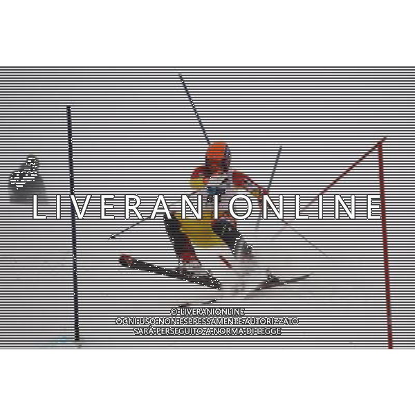 (110207) -- ERZURUM, Feb. 7, 2011 () -- Dardan Dehari of Macedonia competes in the men\'s slalom of Alpine Skiing event at the 25th Winter Universiade in Erzurum, Turkey, Feb. 6, 2011. (/Fei Maohua) AG. ALDO LIVERANI SAS ITALY ONLY