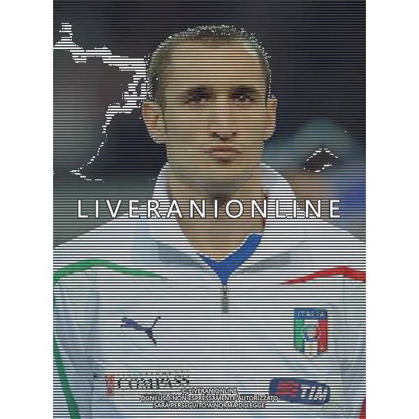 Amichevole Internazionale Dortmund (Germania) - 09.02.2011 Germania-Italia Nella Foto:Giorgio Chiellini /Ph.Vitez-Ag. Aldo Liverani