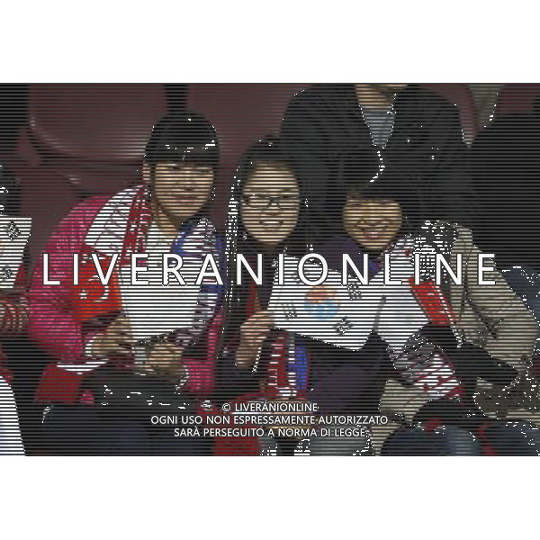 Friendly soccer match between Turkey and South Korea at Avni Aker Stadium in Trabzon, Turkey on February 09, 2011 match scored: Turkey 0 - South Korea 0 NELLA FOTO Fans. FOT. SESKIM/NEWSPIX.PL /ALDO LIVERANI S A S ONLY ITALY 