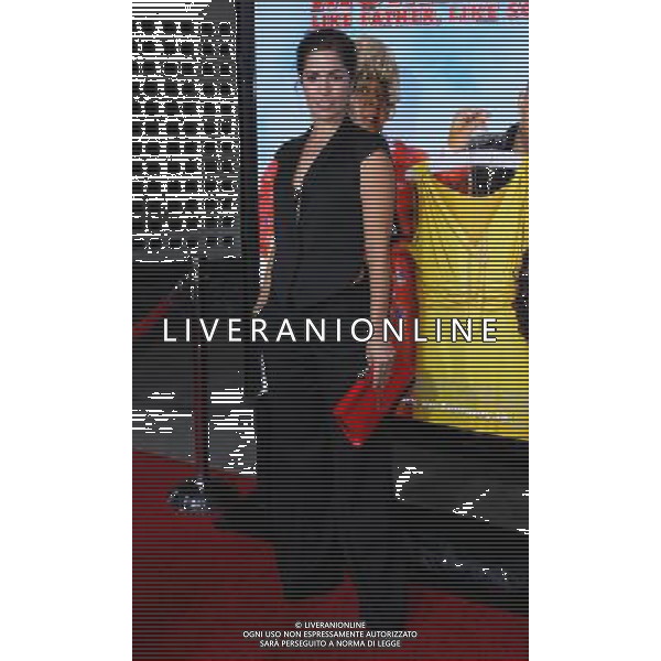 10 February 2011 - Los Angeles, California - Ana Ortiz. \'Big Mommas: Like Father, Like Son\' Los Angeles Premiere held at The Cinerma Dome. Photo Credit: T. Conrad/AdMedia AG. ALDO LIVERANI SAS ITALY ONLY *** Local Caption *** .